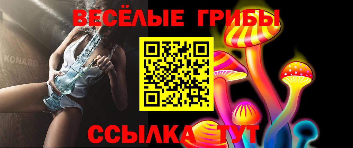 Екатеринбург  Псилоцибиновые грибы GOLDEN TEACHER  Галлюциногенные грибы MAGIC MUSHROOMS  Вход с VPN 